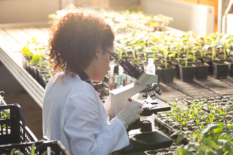 Woman wearing a white lab coat surrounded by sprouting plants and looking into a microscope